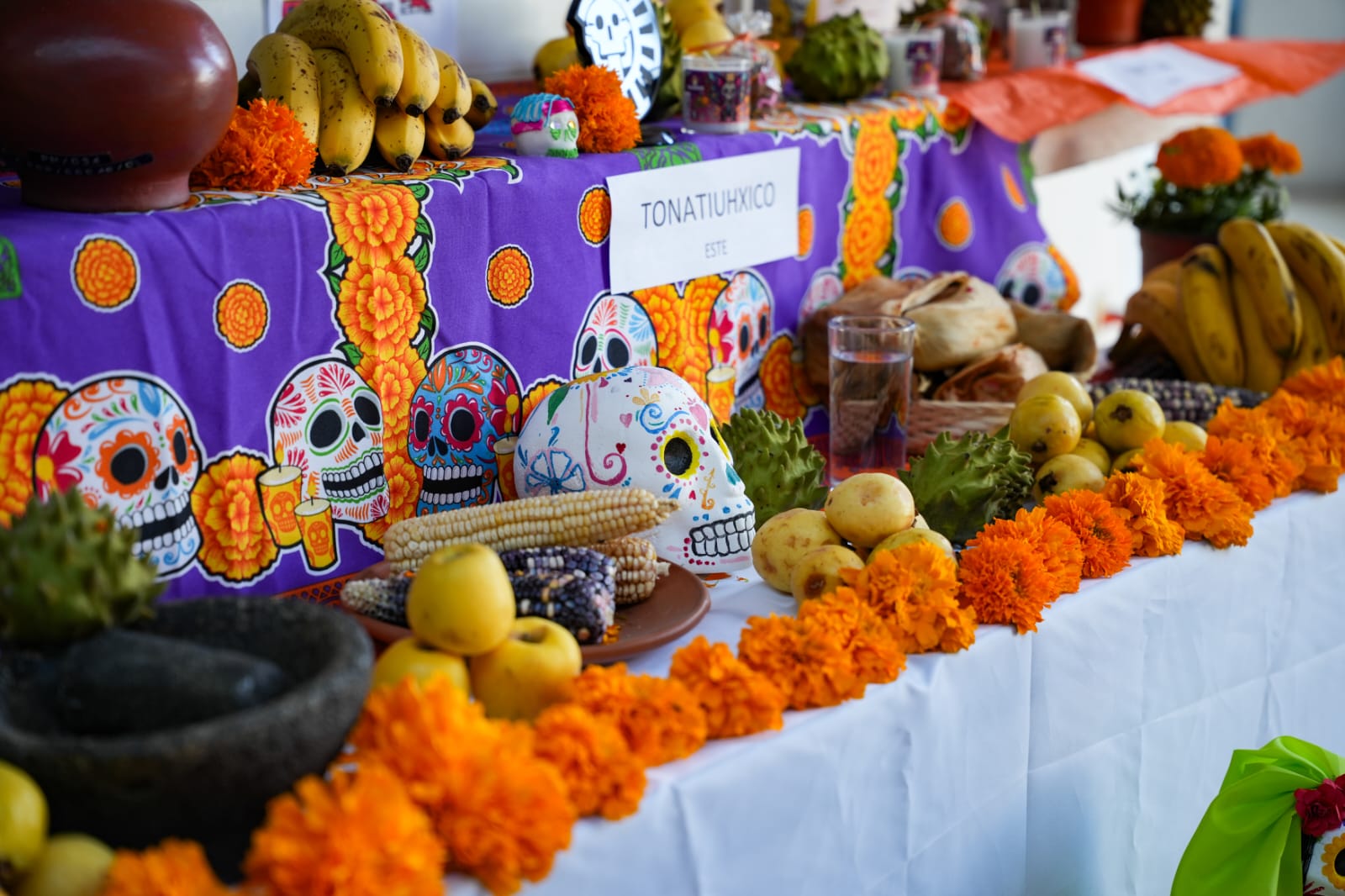 Con ofrendas, cine y música el Ayuntamiento de Tlaxcala inicia el 'Festival de la vida y la muerte 2025'